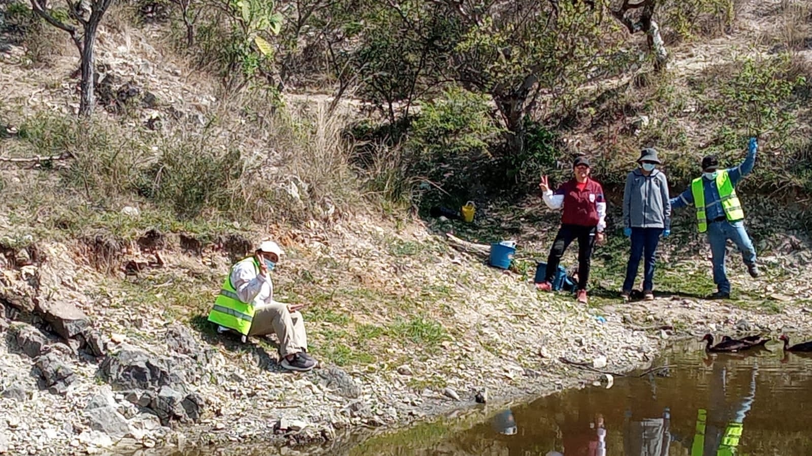 Monitoreo RED MACVO-PRONAII