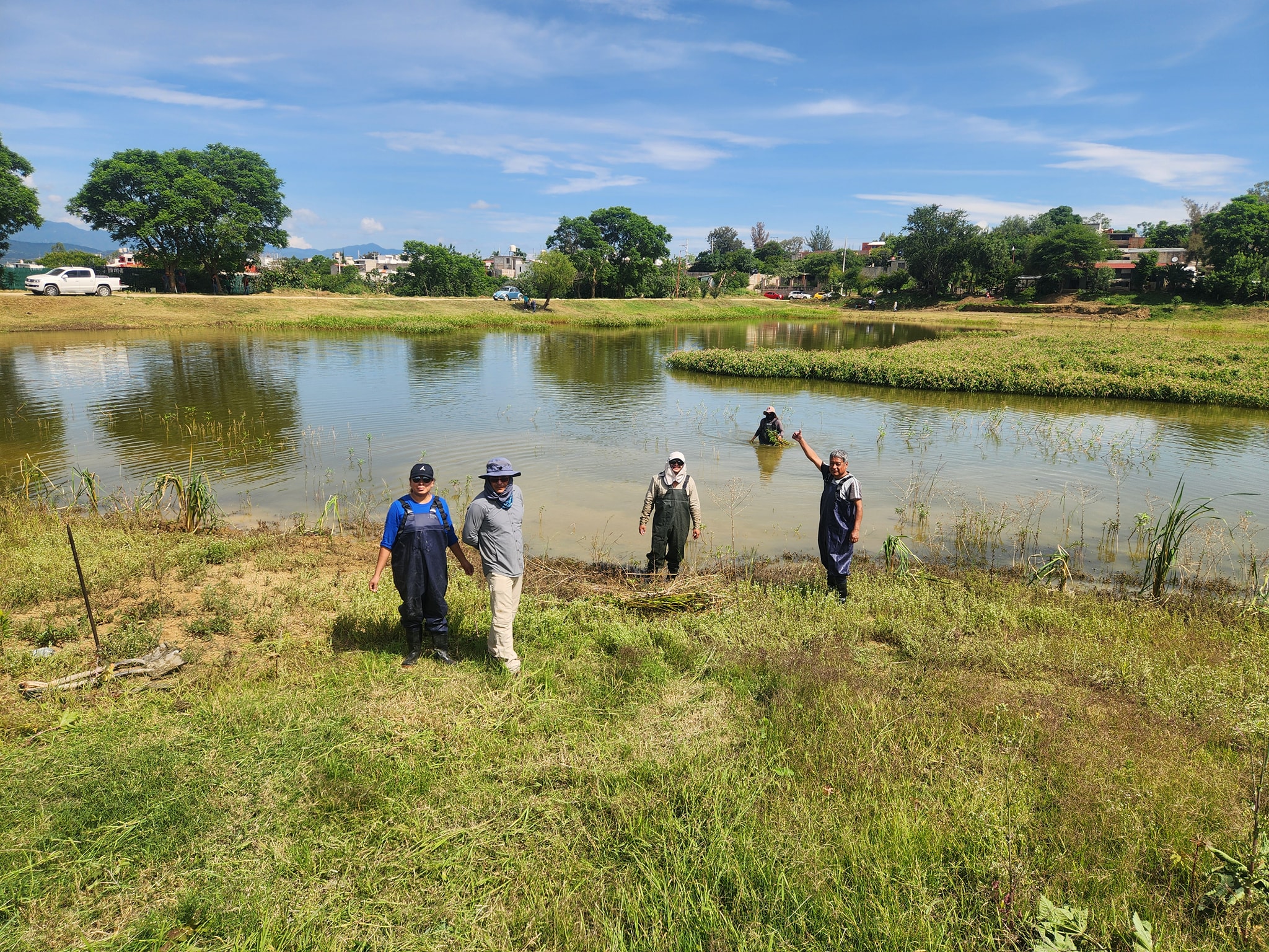 Tequio Salvemos La Laguna