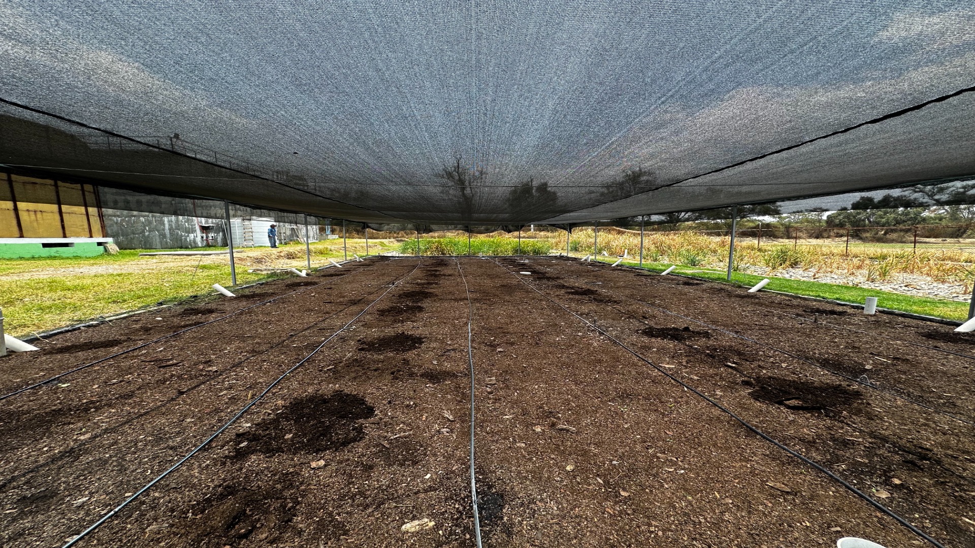 Sistema de vermifiltración adaptado en una PTAR municipal en San Lorenzo Cacaotepec